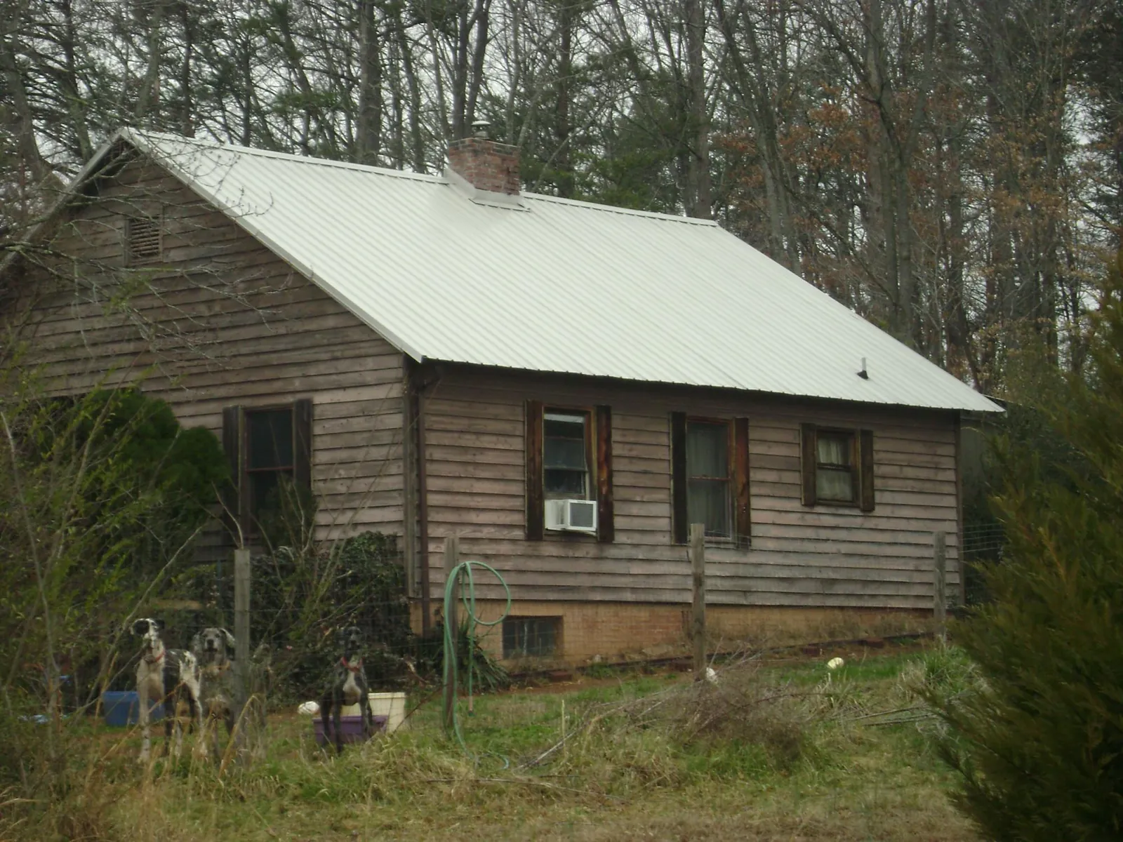 White metal roof on an old wood sided farmhouse, from a Asphalt Shingle Roof Repair job in Chestnut Hill